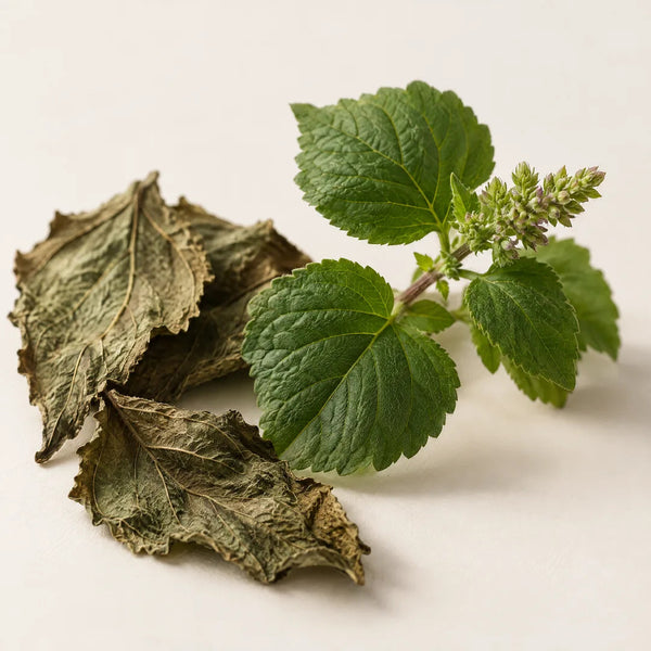 Patchouli